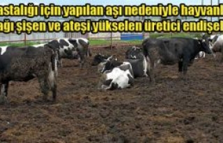 Panik yok