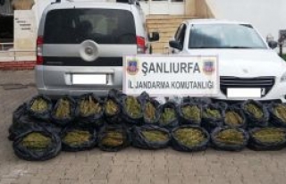 Şanlıurfa'da 218 kilo esrar 