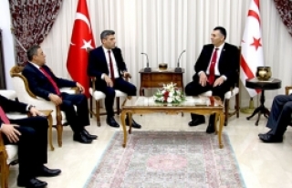 Şartlı destek