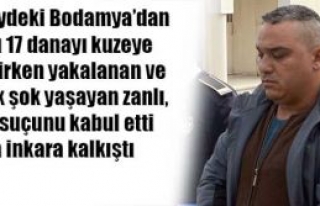 Şaşkın Taşkın