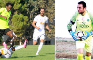 Şok karar Piro ve Zokou satılık 