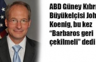 Tek devletli çözüm