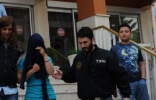 Terör belası