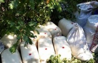 Tunceli'de 4 ton patlayıcı ele geçirildi