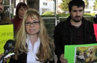 Vahşete seyirci kalınmasın