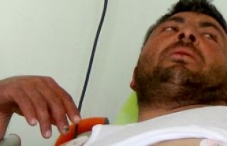 Vahşi hayvan