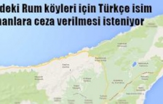 Yeni girişim