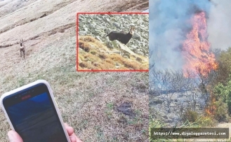 En doğal yöntem