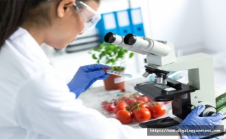 Üç ürün imha edildi