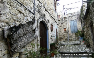 100 tanesi Türk malı