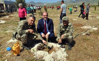 Değirmenlik yeşilleniyor