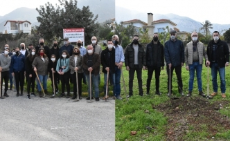 Belediye ekipleri ve Başkan Güngördü, Bellapais’te fidan dikti