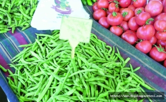 Fasulye zam şampiyonu