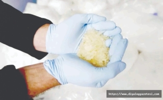 Afrika’dan gönderildi