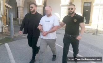 19 silah ülkeye nasıl girdi?