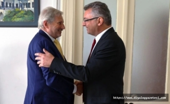 Hahn ile görüşecek