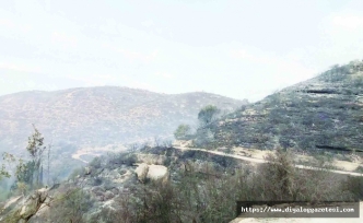 Kontrol altına alındı