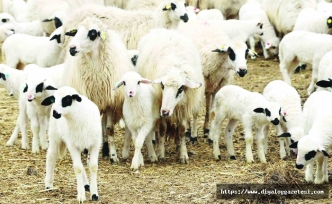 Gelir desteği alamayacak