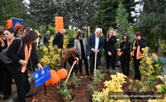 Gül Bahçesi oluşturuldu