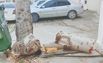 Zabıta ekipleri görevde