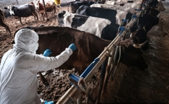 İkinci tur aşılama yapılıyor