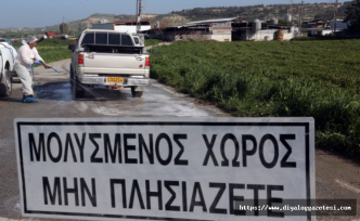 Binlerce hayvan aşılandı