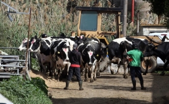 Devlete meydan okuma