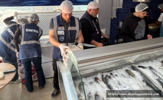 Balıklar imha edildi