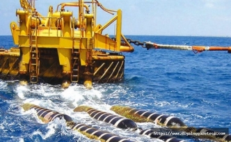 Mali destek istediler