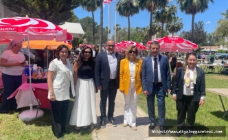 Anlamlı etkinlik