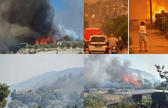 Vatan düşmanları
