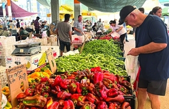 Domates zam şampiyonu