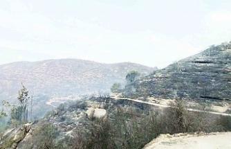 Kontrol altına alındı