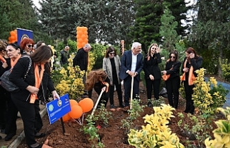 Gül Bahçesi oluşturuldu