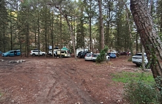 Patika: Ormanlar nefes alanlarımızdır, gelir kapısı değil