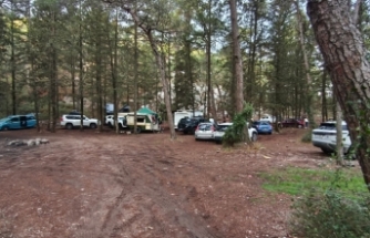 Patika’dan Orman Dairesi’ne “ücret” tepkisi