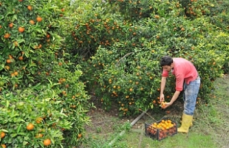Yeni tarife açıklandı