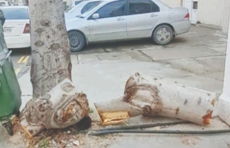 Zabıta ekipleri görevde