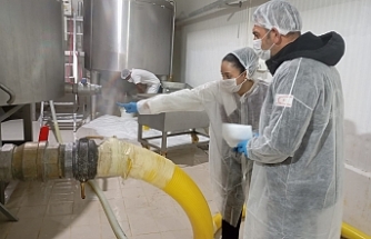 30 iş yeri denetlendi