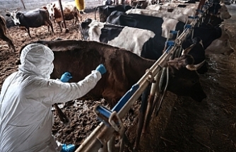 İkinci tur aşılama yapılıyor