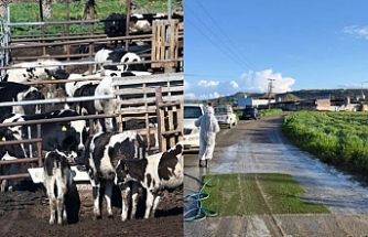 Üreticiler tazmin edilecek