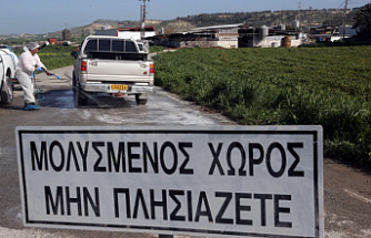 Binlerce hayvan aşılandı