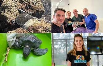 Meritta’da hayata tutundu