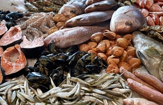 İthal ürünleri de kapsıyor