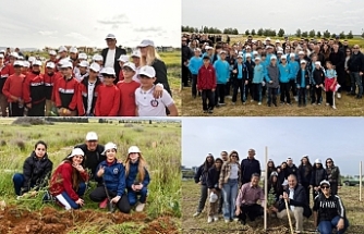 ‘Yeniden Yeşil Kıbrıs’