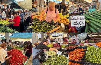 Havalar ısındı fiyatlar düştü