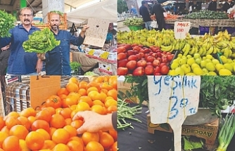 Yetişen aldı