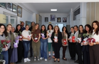 Zeytin ağacı dağıtıyor