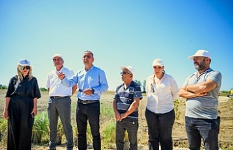 İlk fidanlar dikildi