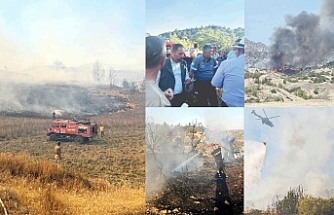 Büyümeden söndürüldü